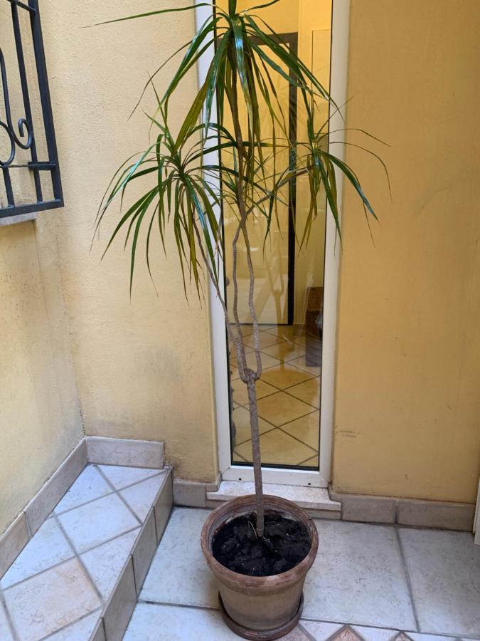 Biora Apartments Cagliari Zewnętrze zdjęcie